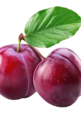 product-6